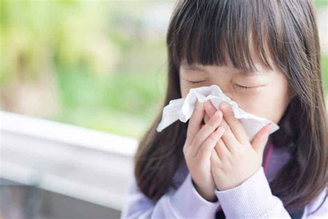 Gamot Sa Sipon Ng Bata: Huwag Kalimutan Ang Mga Tips Na Ito.